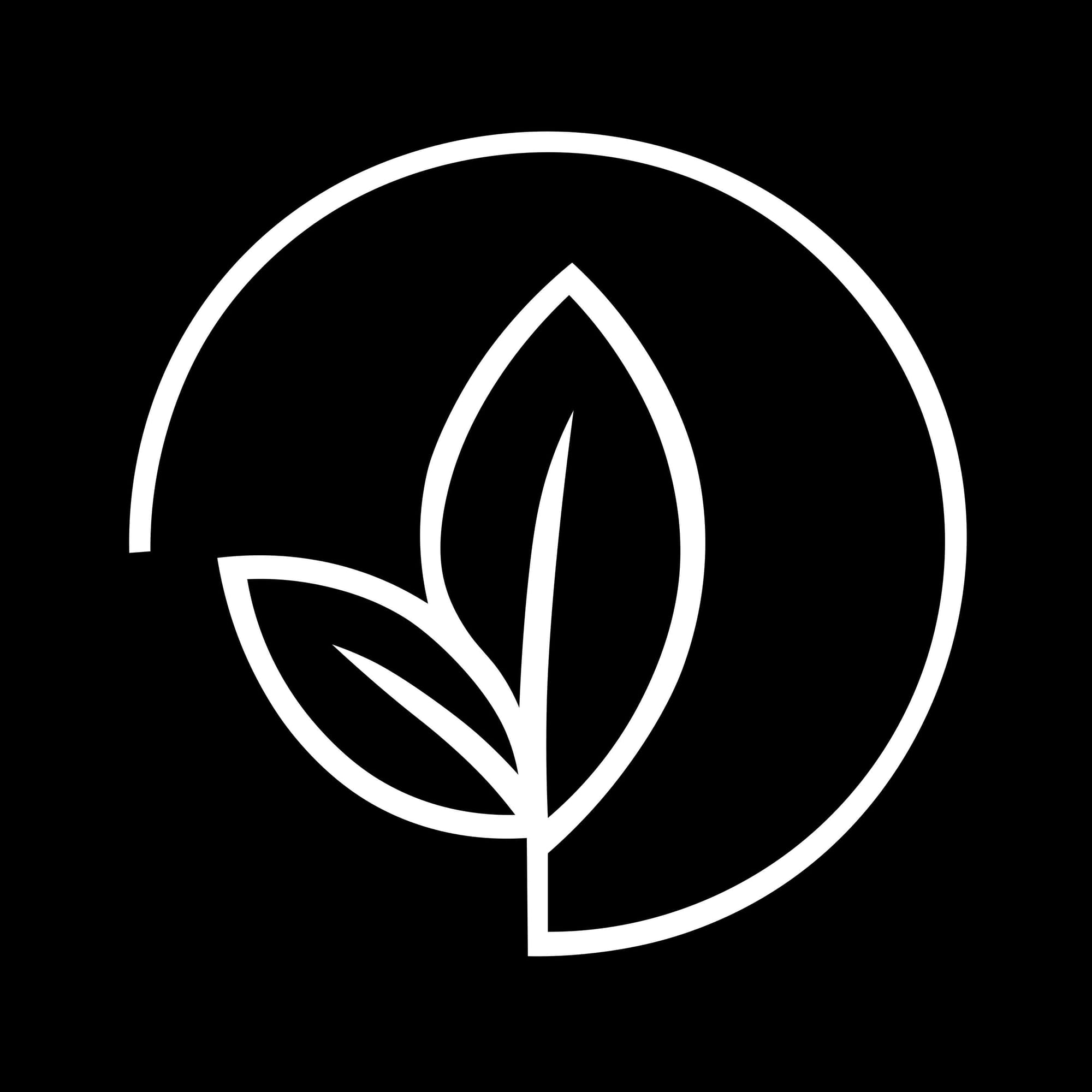 Bloom Wellness